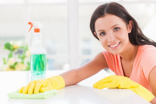 Professional domestic cleaning in E1 for modern homes