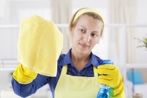 End of renovation cleanup in an E1 apartment