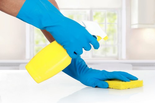 A cleaning team providing domestic and commercial cleaning services in E1