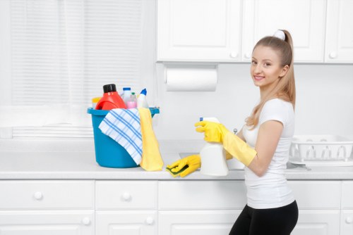 Stain removal and carpet maintenance service in E1