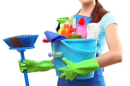 Professional carpet cleaning in an E1 home interior