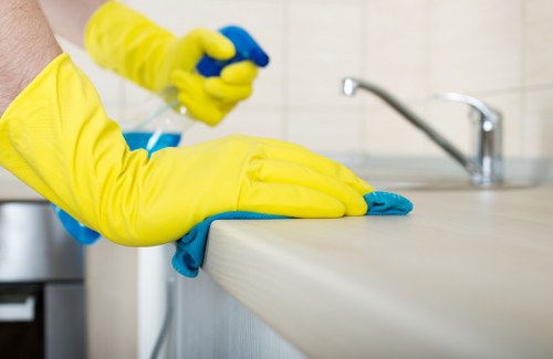Rug and upholstery cleaning options