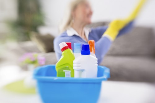 Detailed carpet cleaning assessment for a property in E1