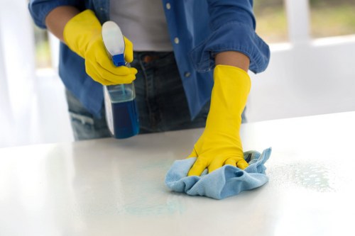 Cleaner in E1 preparing a spotless kitchen and living area