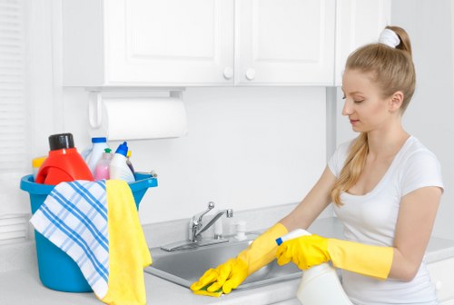 Technician performing oven cleaning in E1 in a modern kitchen